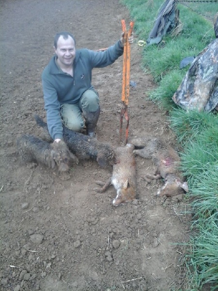 chasse sous terre renard